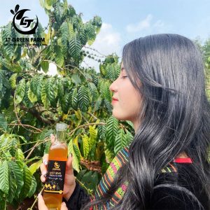 Mật ong hoa cà phê nguyên chất
